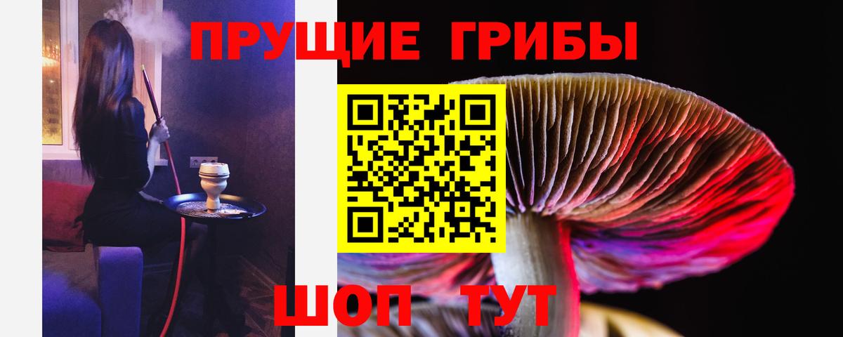 Тутаев  Галлюциногенные грибы мухоморы  Вход с VPN 